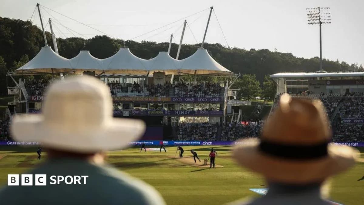 Espectadores observando un partido de cricket al aire libre