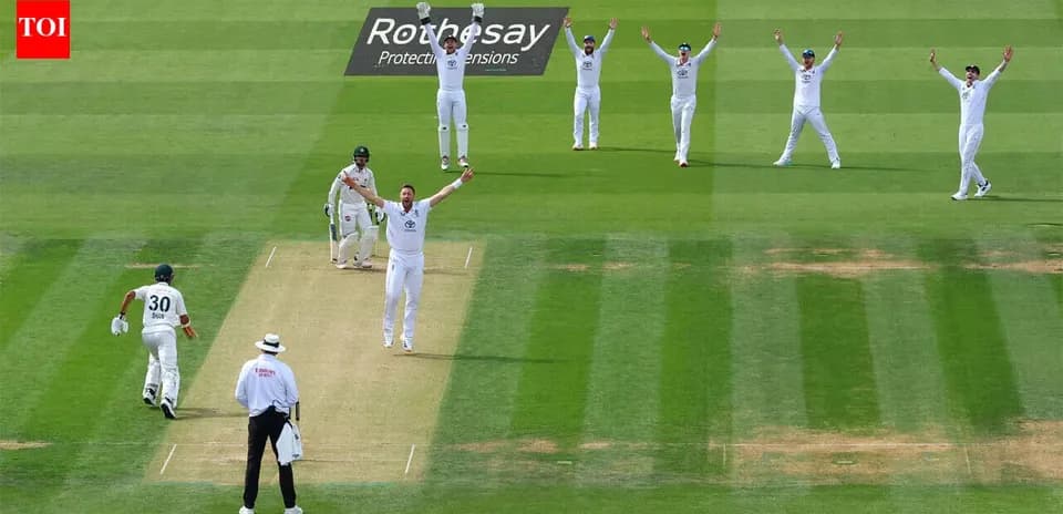 Jugadores celebrando un wicket en el partido de cricket