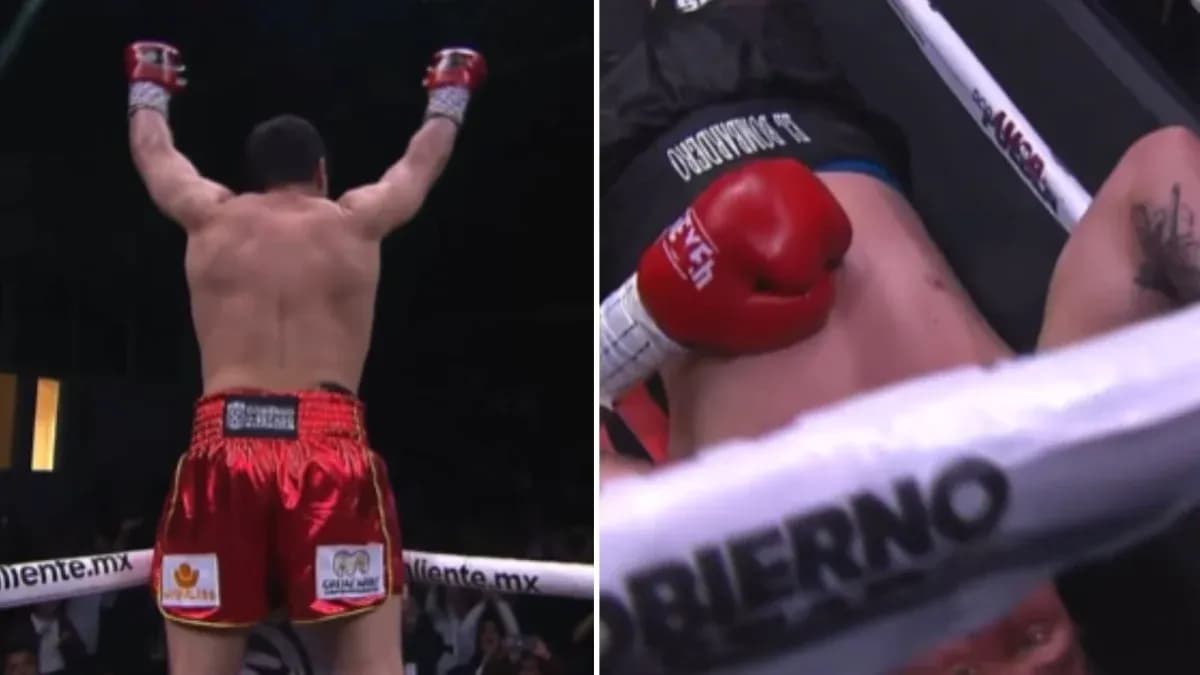 Boxeador celebrando victoria tras nocaut en combate