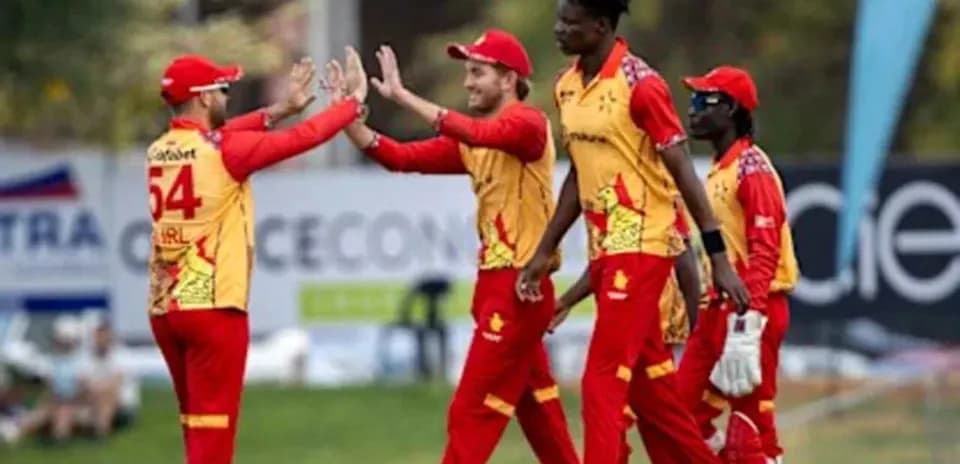 Jugadores celebrando un wicket en partido de cricket