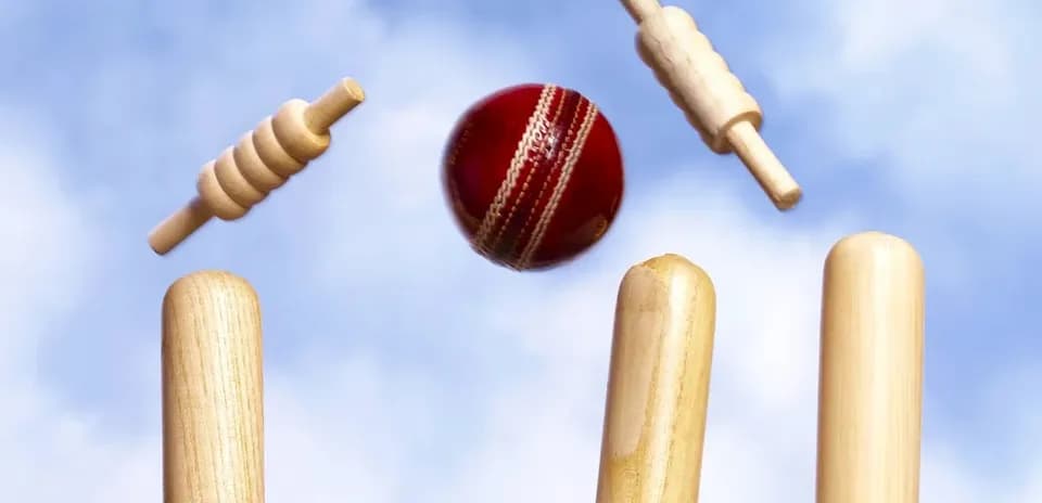 Pelota de cricket y estacas en el aire