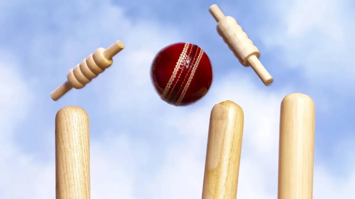 Pelota de cricket y estacas en el aire