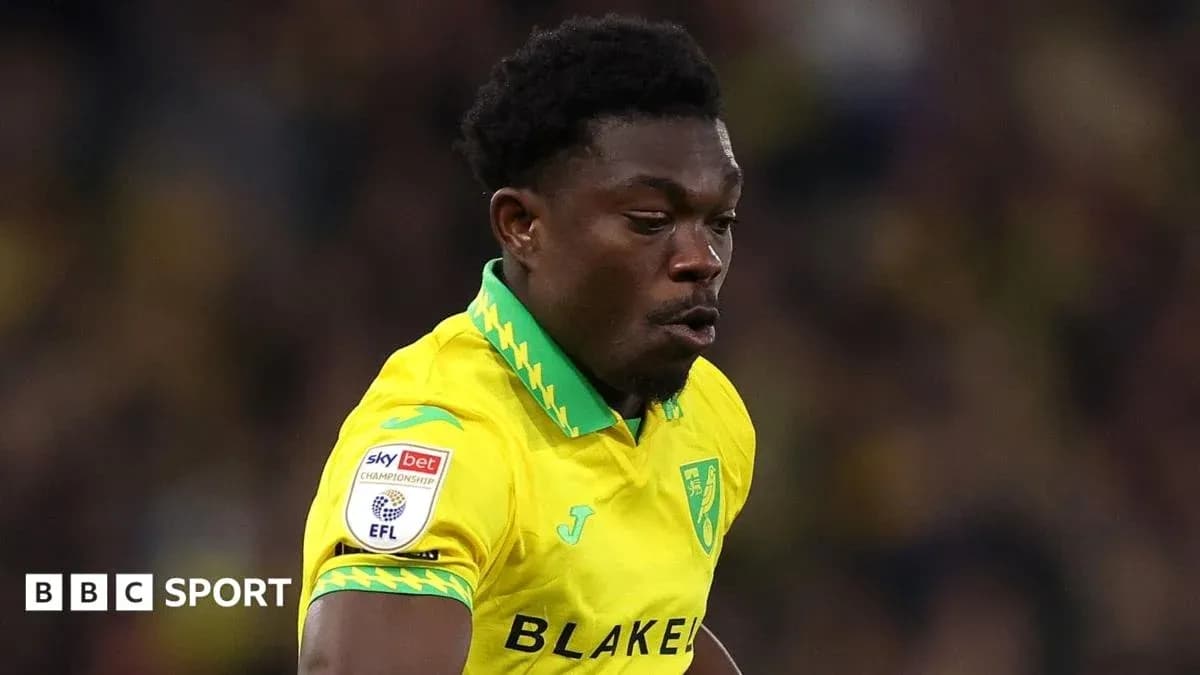 Jugador de Norwich City corriendo en el campo Jugador de Norwich City corriendo en el campo