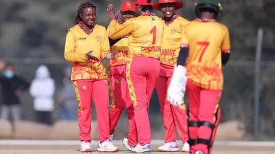 Jugadores de críquet de Zimbabue celebrando un wicket Jugadores de críquet de Zimbabue celebrando un wicket