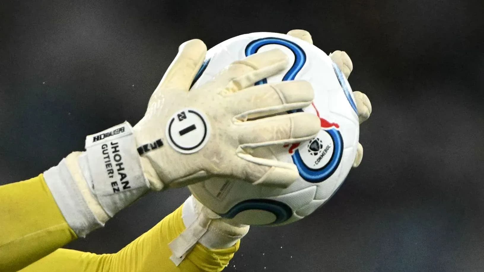 Portero agarrando el balón con guantes Portero agarrando el balón con guantes